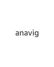 Anavig, S.,L.
